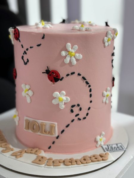 Classic lady bug cake